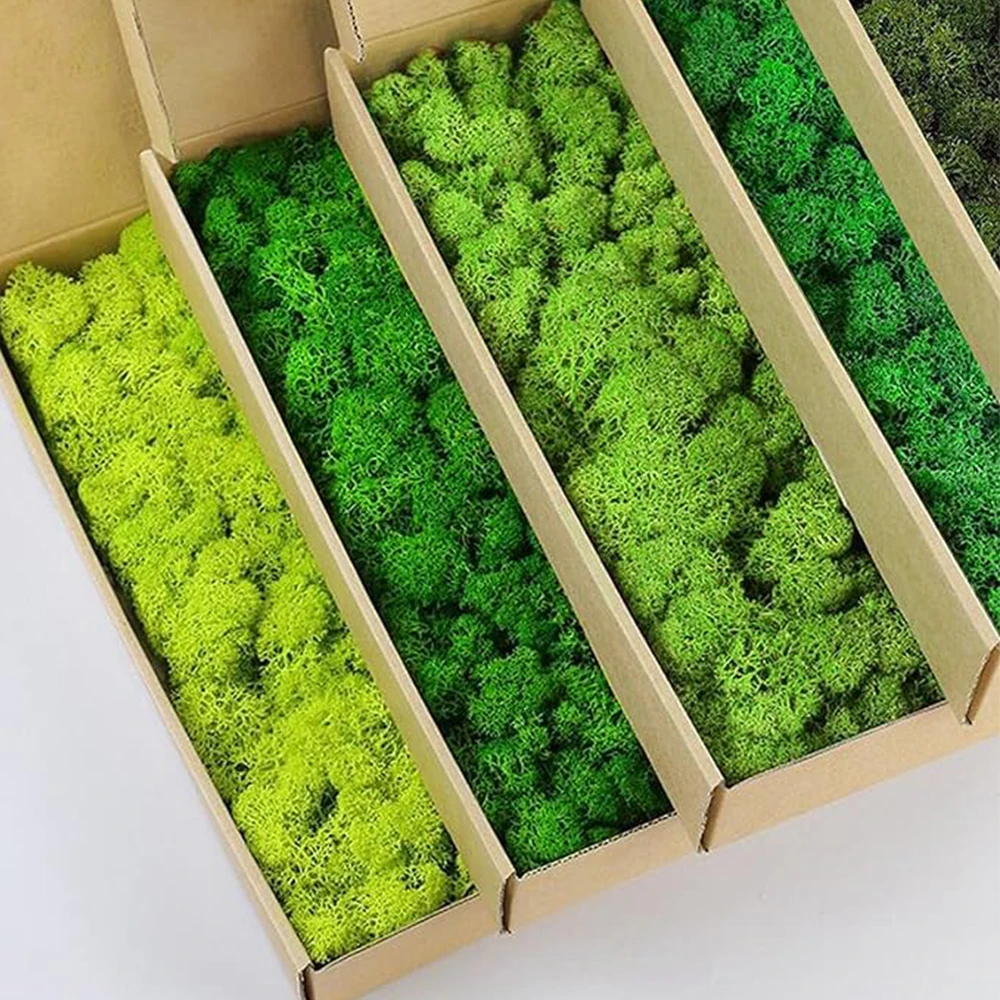 Terrarium Moss Art - 20-200 グラム人工緑の植物偽の草永遠の生活苔草家庭用リビングルームの庭の装飾ミニ風景 DIY 工芸品