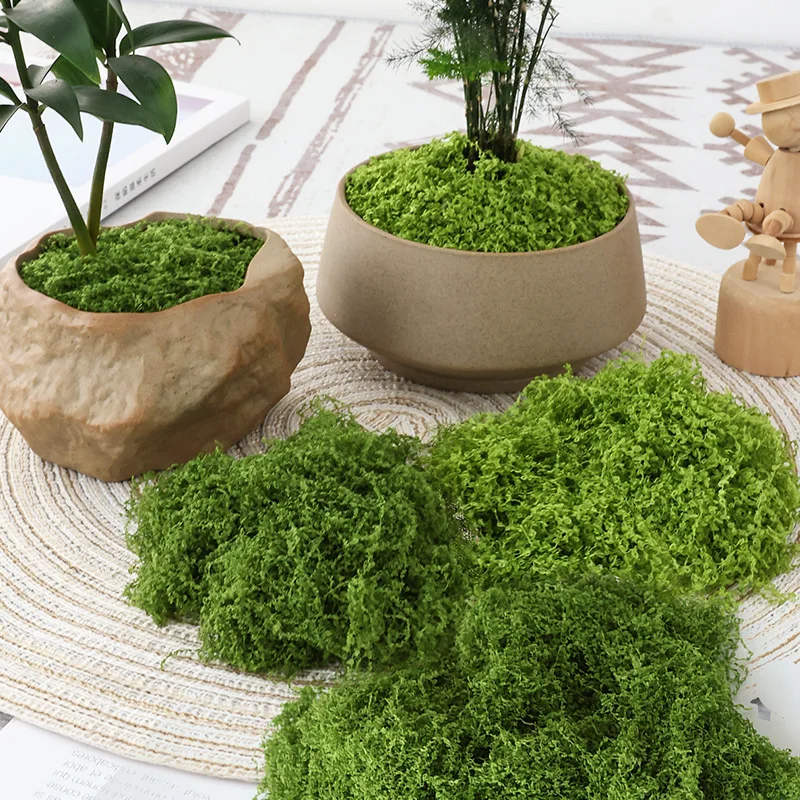 Terrarium Moss Art - 人工芝マット 人工芝生 ミニチュア芝生 マイクロランドスケープ 盆栽 ホームデコレーション