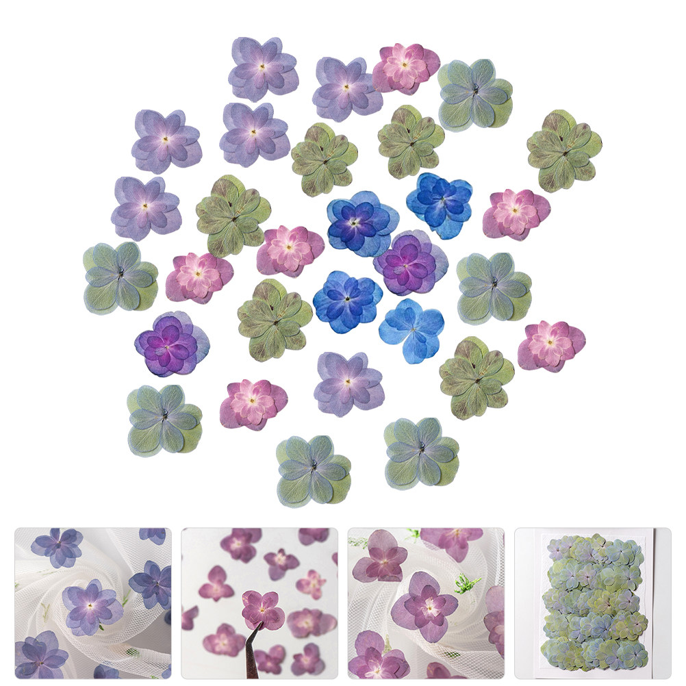 Dried Flower Bulk - 30個入り、様々な色の押し花（ドライフラワー）。レジンクラフトやDIYの材料として。自然な風合いのエンボス加工が施された花の装飾品。大量セット。