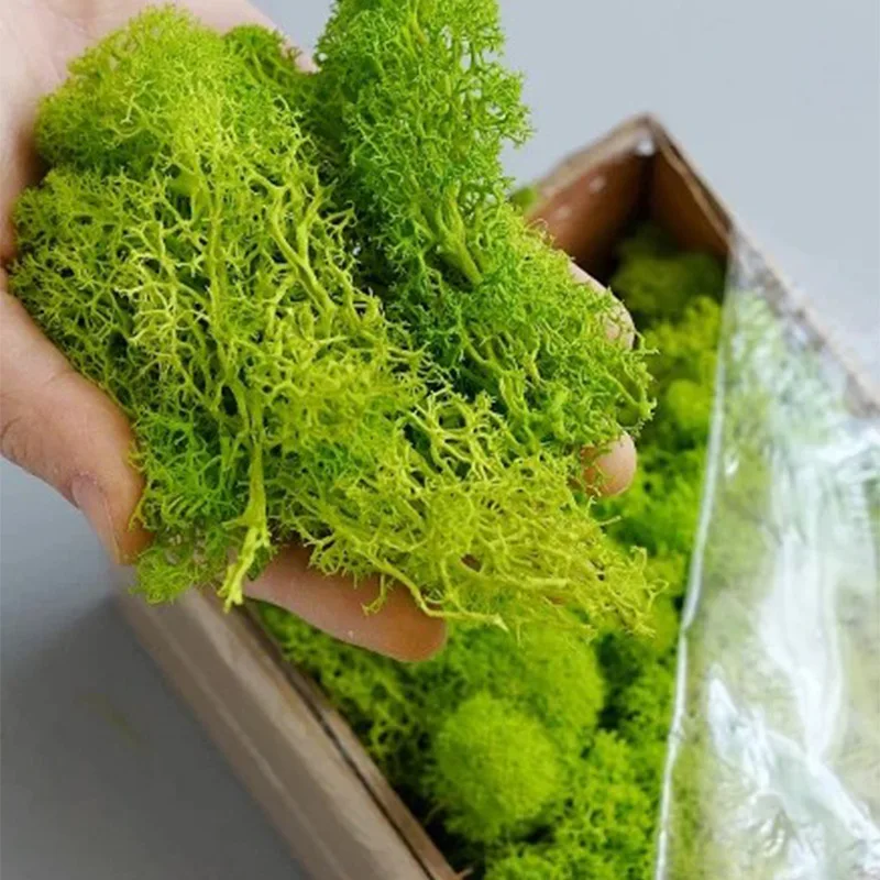 20-200 グラム人工緑の植物偽の草永遠の生活苔草家庭用リ - Terrarium Moss Art のレビューと価格