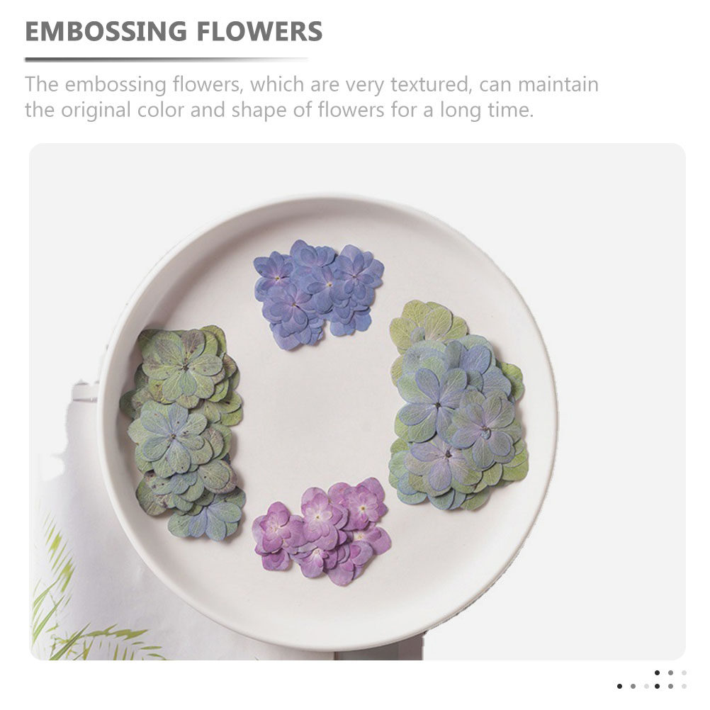 30個入り、様々な色の押し花（ドライフラワー）。レジンクラフ - Dried Flower Bulk のレビューと価格