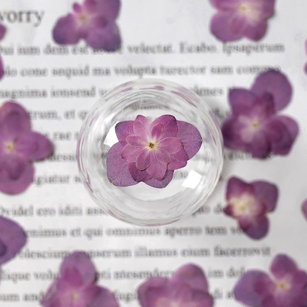 30個入り、様々な色の押し花（ドライフラワー）。レジンクラフ - Dried Flower Bulk のレビューと価格