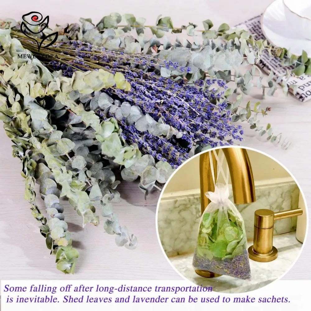 30 個ドライフラワープリザーブドユーカリの葉ホームリビング - Dried Flower Bulk のレビューと価格
