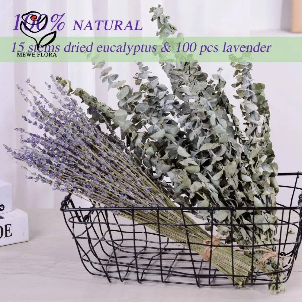30 個ドライフラワープリザーブドユーカリの葉ホームリビング - Dried Flower Bulk のレビューと価格