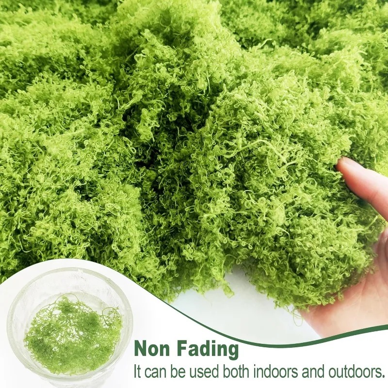 人工緑の植物、永遠の命を持つモス、DIYクラフト、フェイクプ - Terrarium Moss Art のレビューと価格