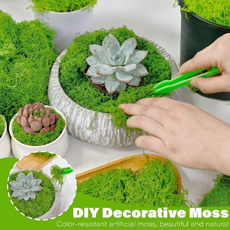 人工緑の植物、永遠の命を持つモス、DIYクラフト、フェイクプ - Terrarium Moss Art のレビューと価格