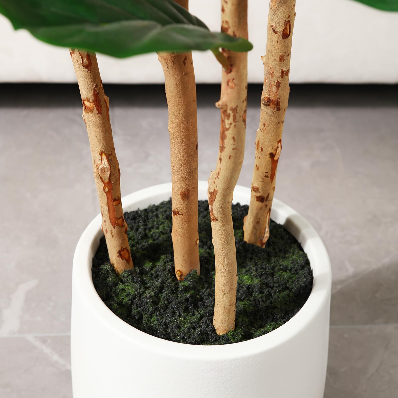 白いプランター付きの人工フィドルリーフフィギュアムツリー。高 - Terrarium Moss Art のレビューと価格